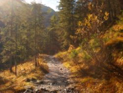 2013-10-26_Schildenstein (053).JPG